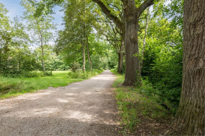 Foto 43 van Ligtsedreef 21