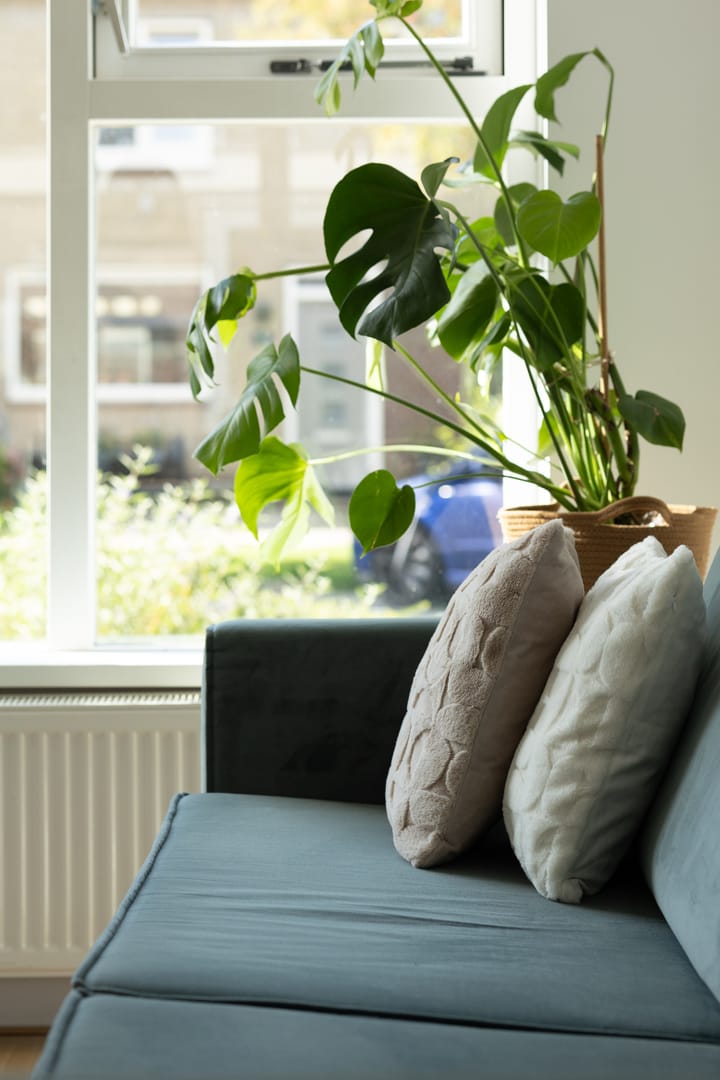 Foto 5 van Julianalaan 135