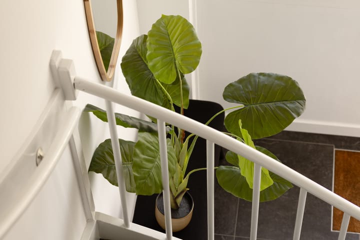 Foto 13 van Julianalaan 135