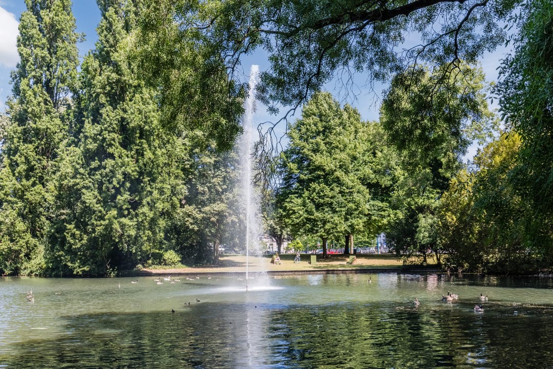 Foto 38 van Vlaszak 7