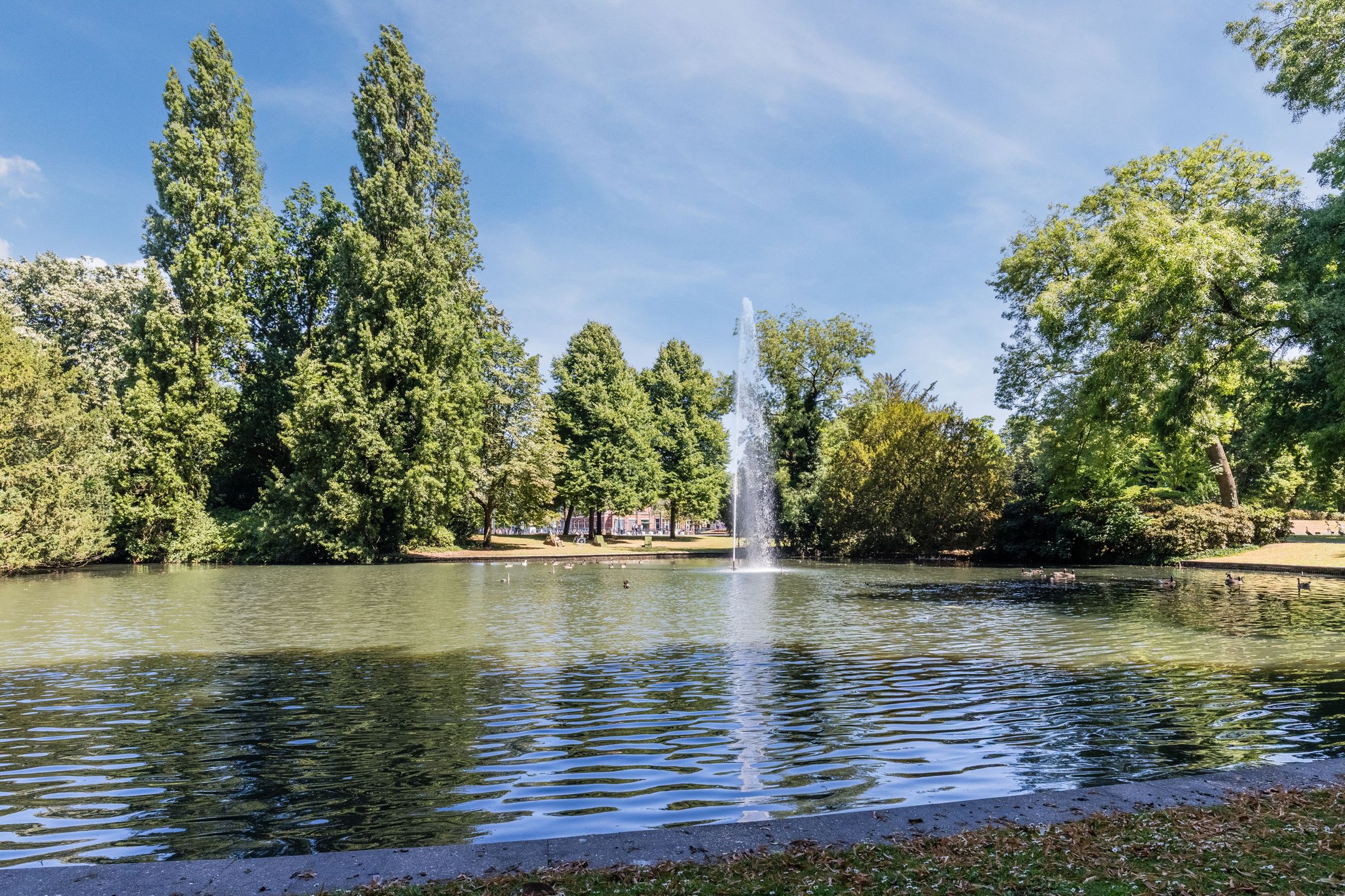 Foto 39 van Vlaszak 7