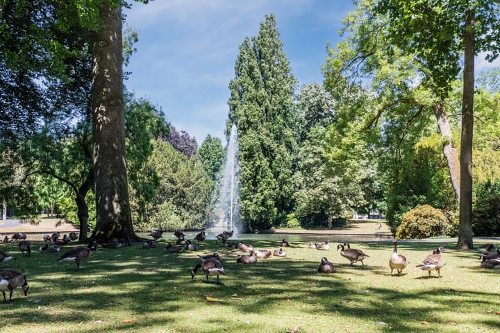 Foto 40 van Vlaszak 7