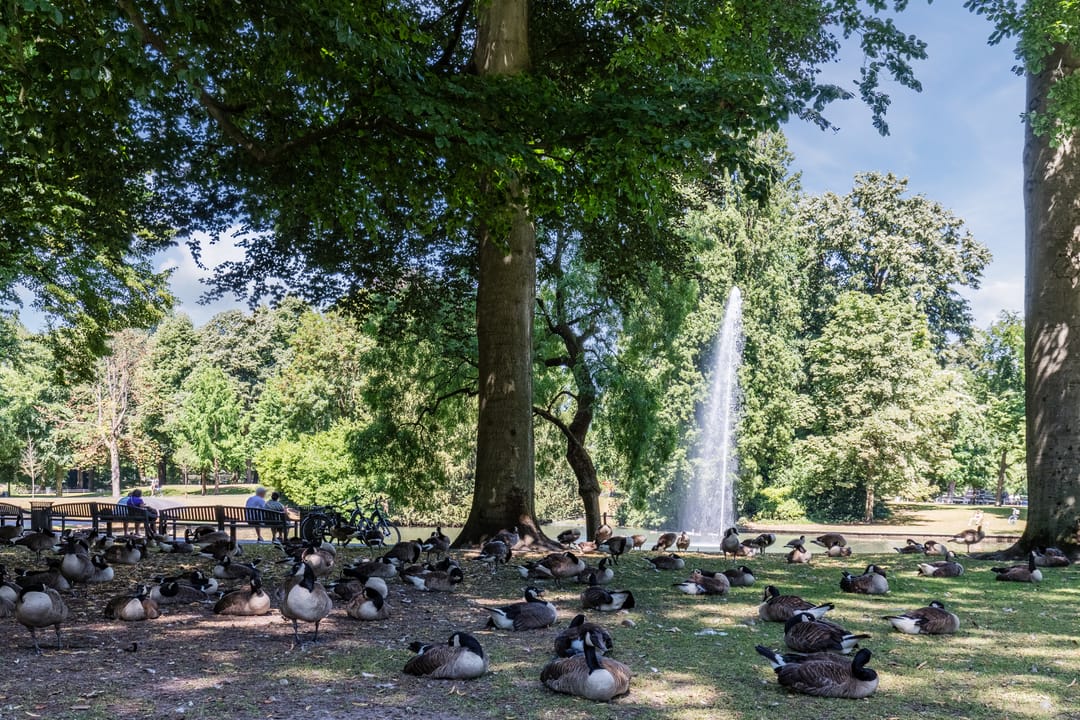 Foto 41 van Vlaszak 7