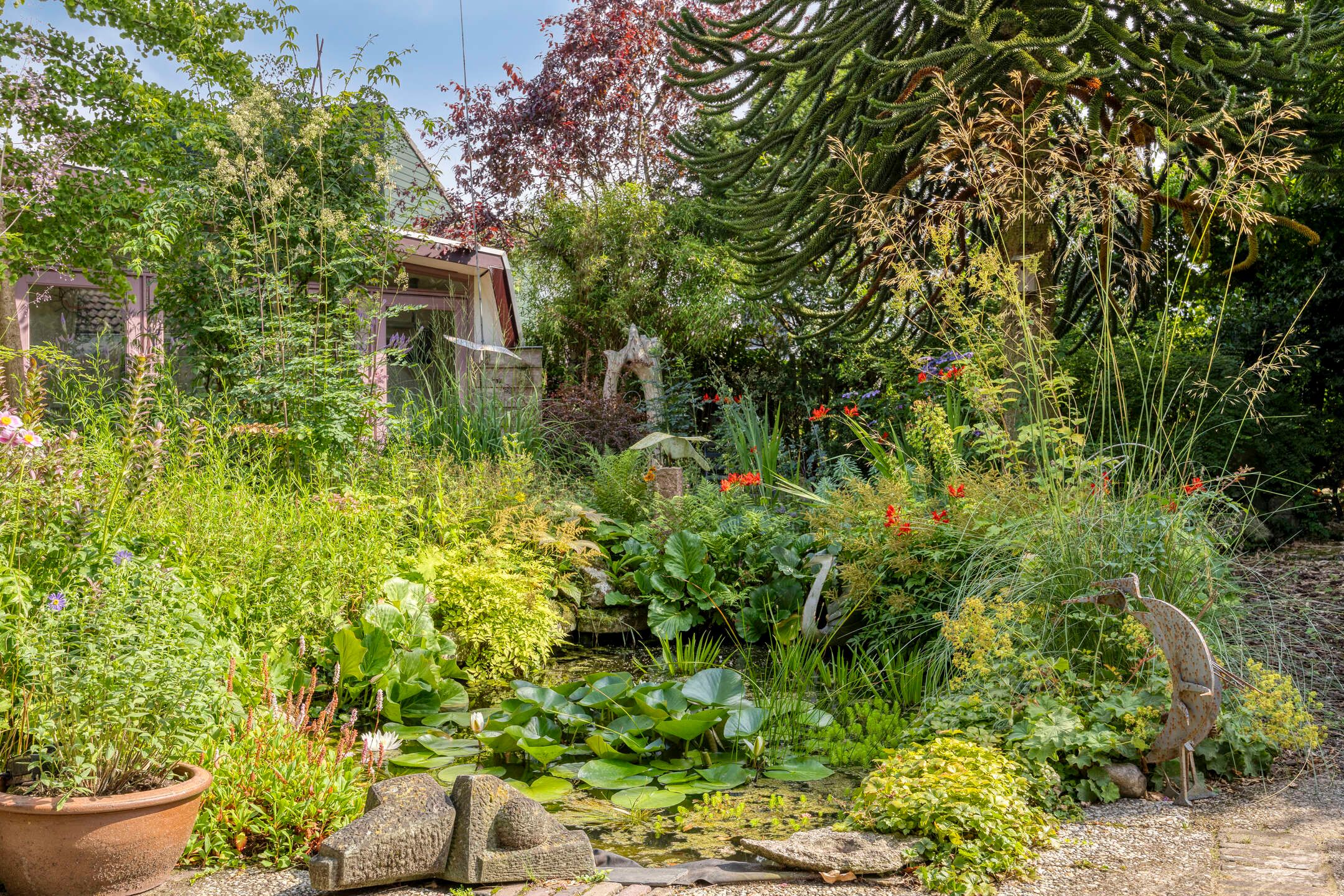 Photo 36 of Torenakkers 9