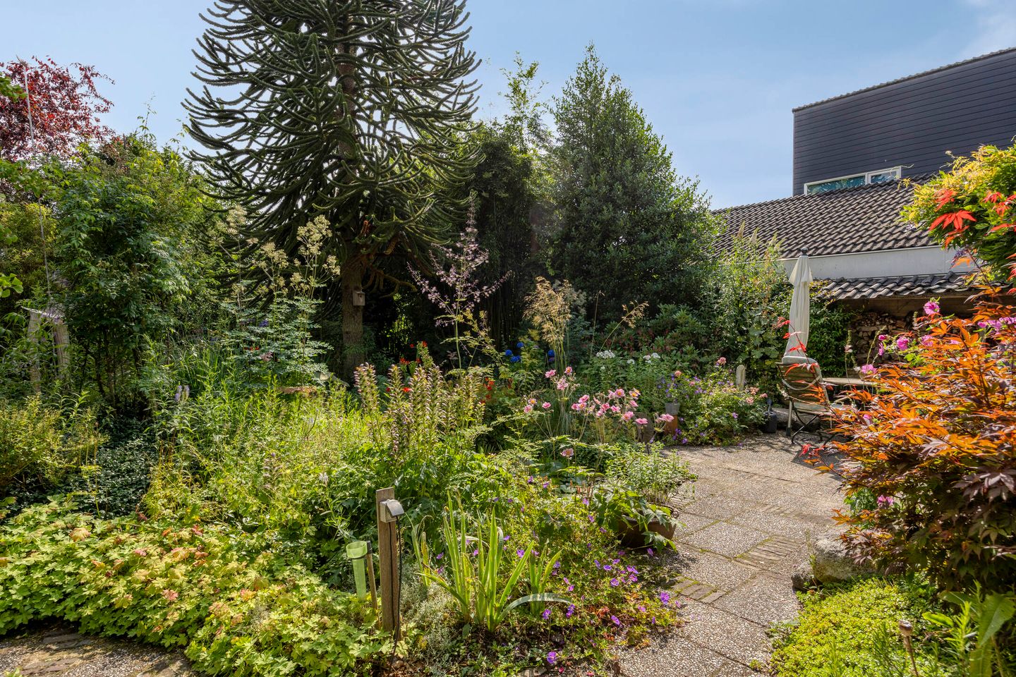 Photo 40 of Torenakkers 9