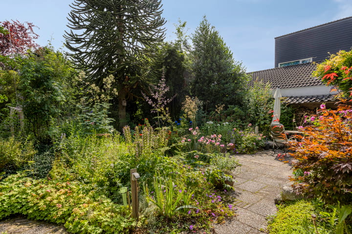 Foto 40 van Torenakkers 9