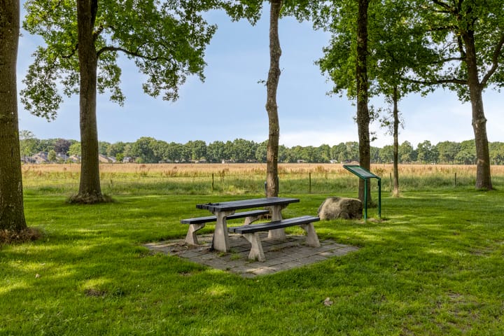 Foto 42 van Torenakkers 9