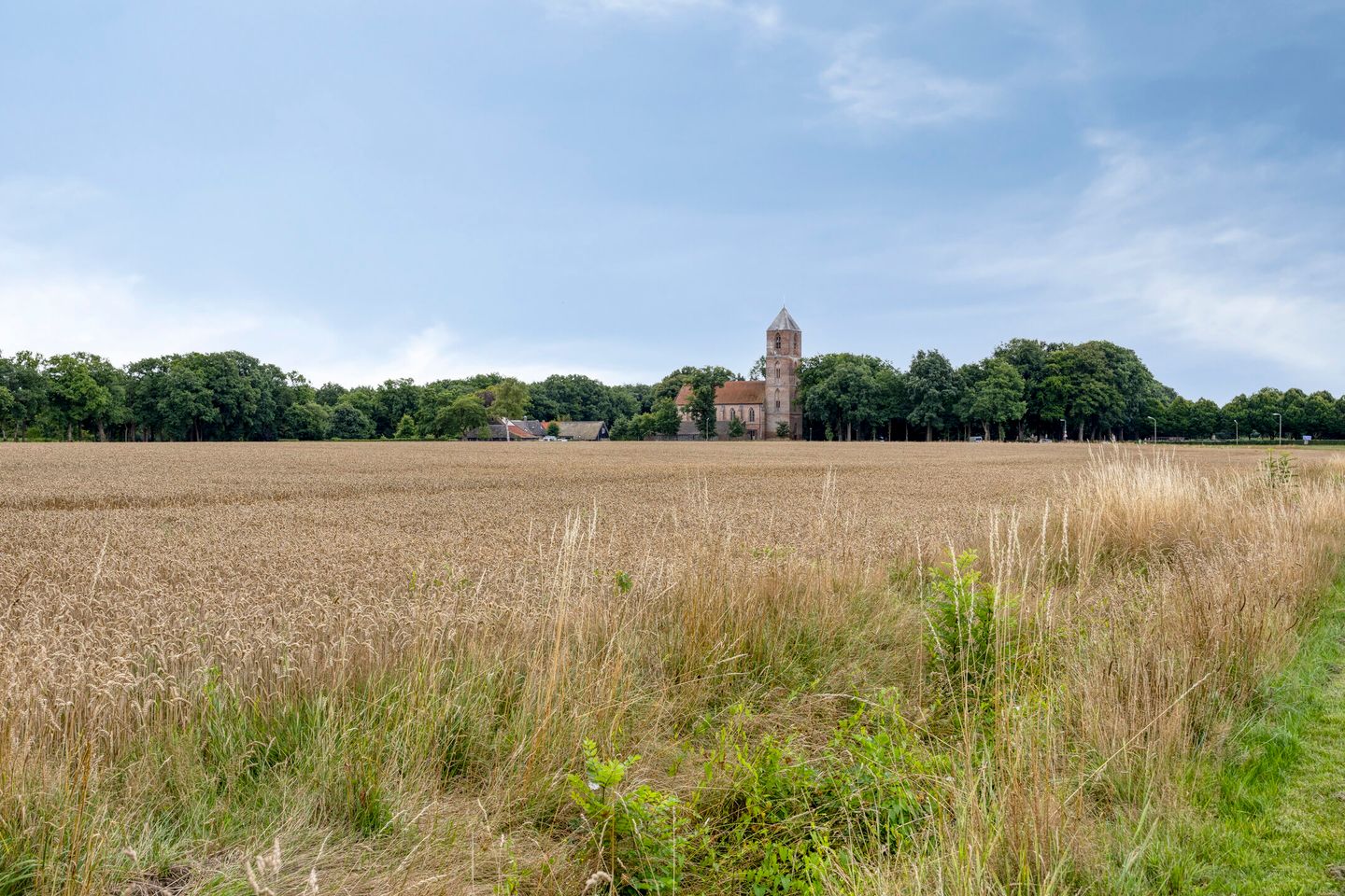 Photo 44 of Torenakkers 9