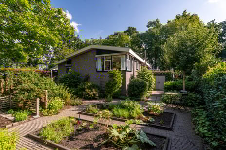 Reelaan 21 tertiary image