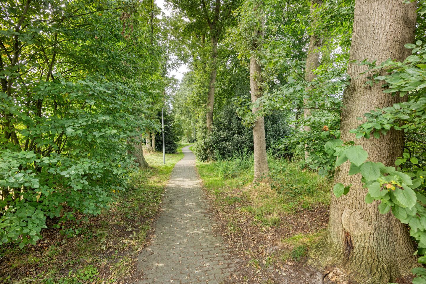 Foto 34 van J.G. van Arkstraat 11