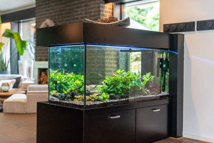 Foto 36 van Reelaan 21