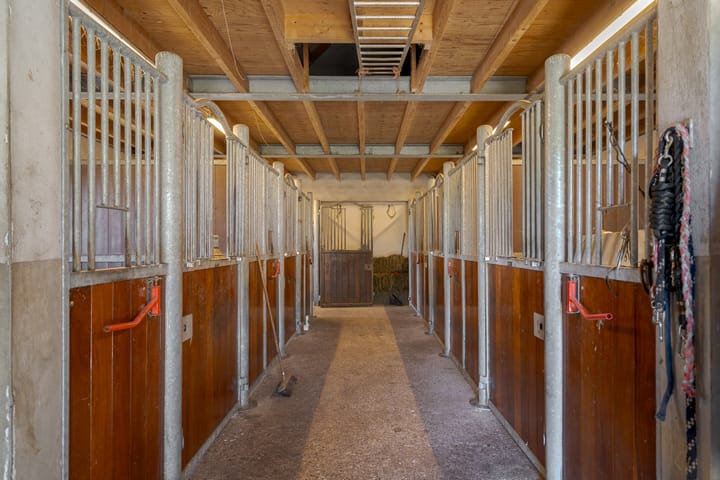 Foto 22 van Haakswold 41