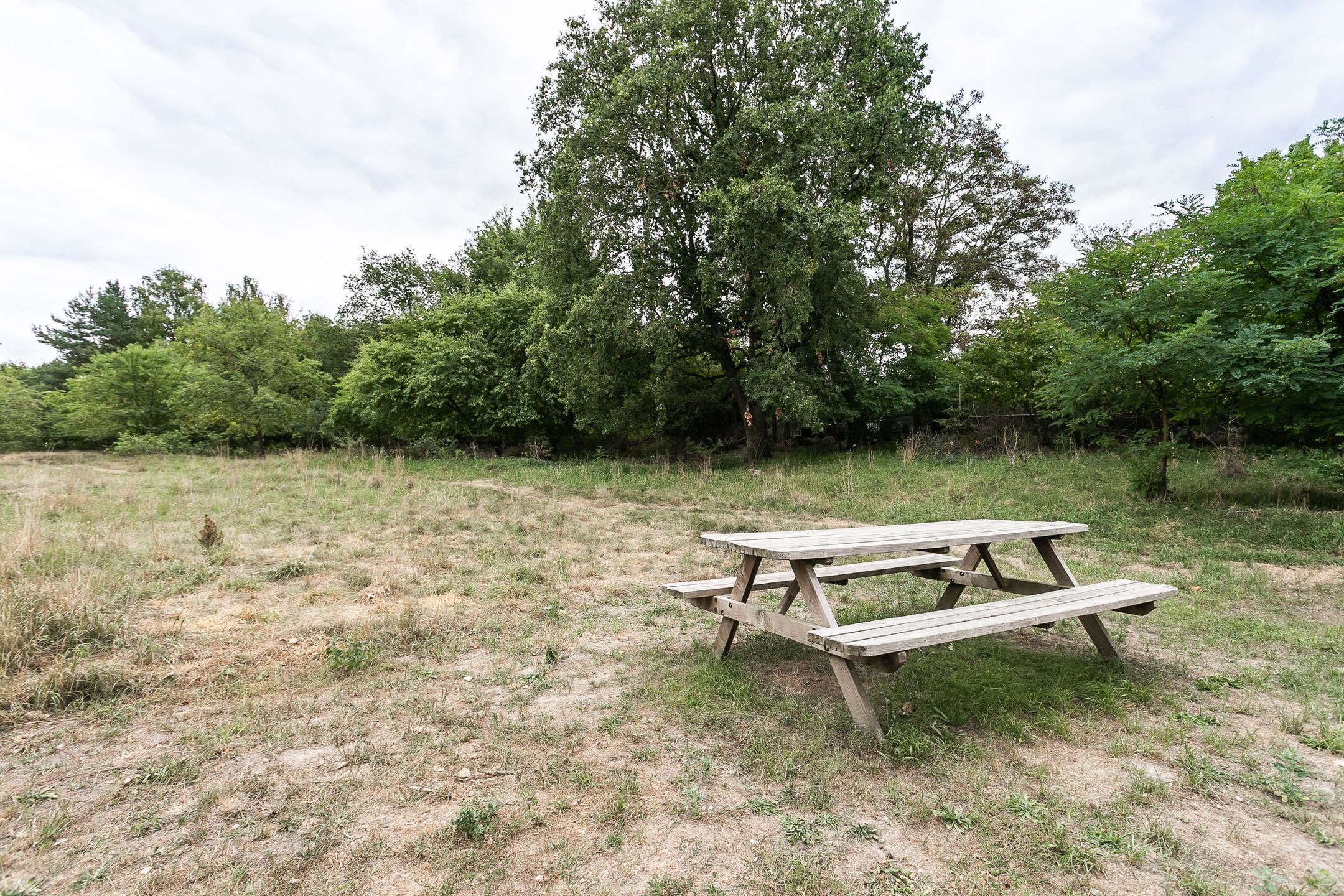 Foto 24 van Kievitstraat 18