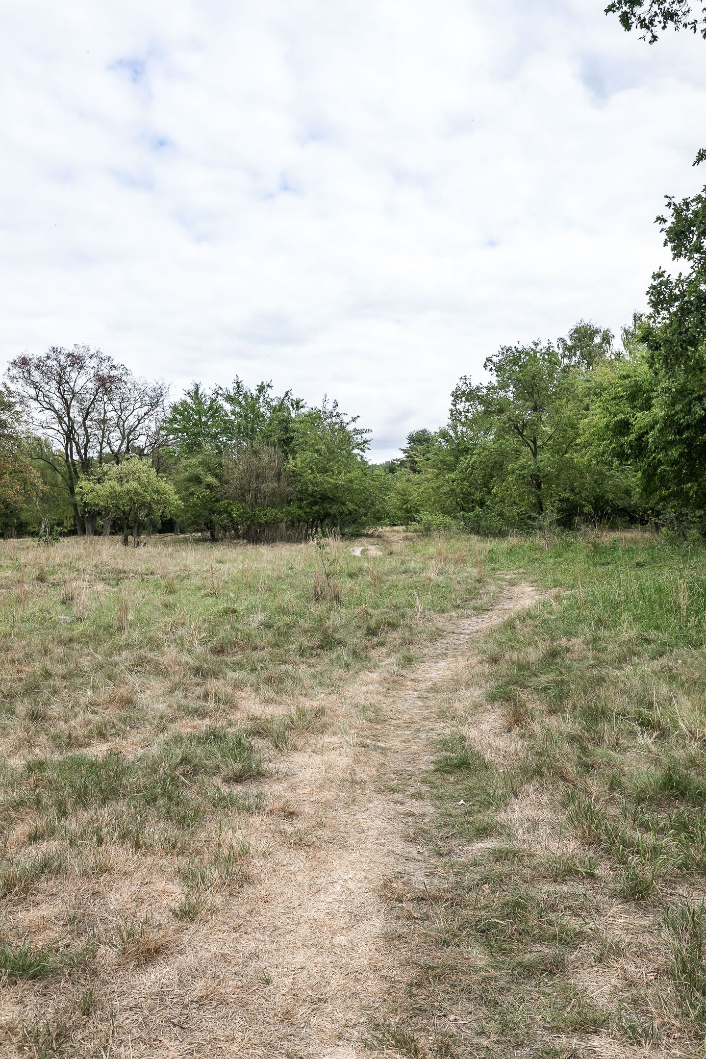 Foto 25 van Kievitstraat 18