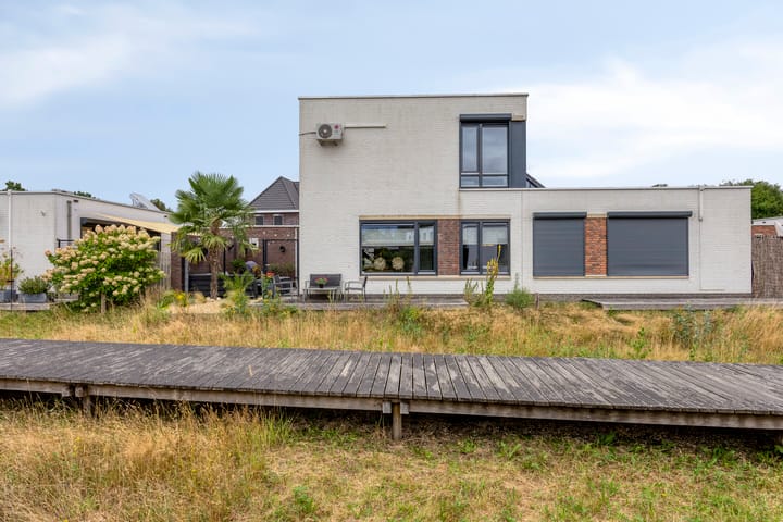 Foto 1 van Bilzekruid 9