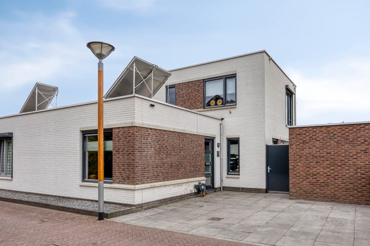 Foto 2 van Bilzekruid 9