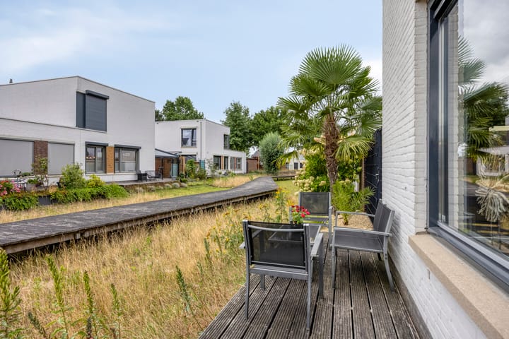 Foto 25 van Bilzekruid 9