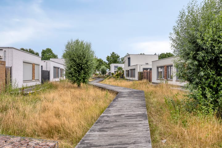 Foto 28 van Bilzekruid 9