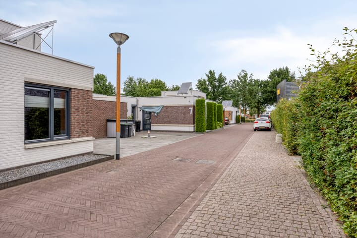 Foto 30 van Bilzekruid 9