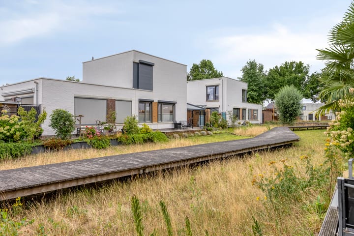 Foto 27 van Bilzekruid 9