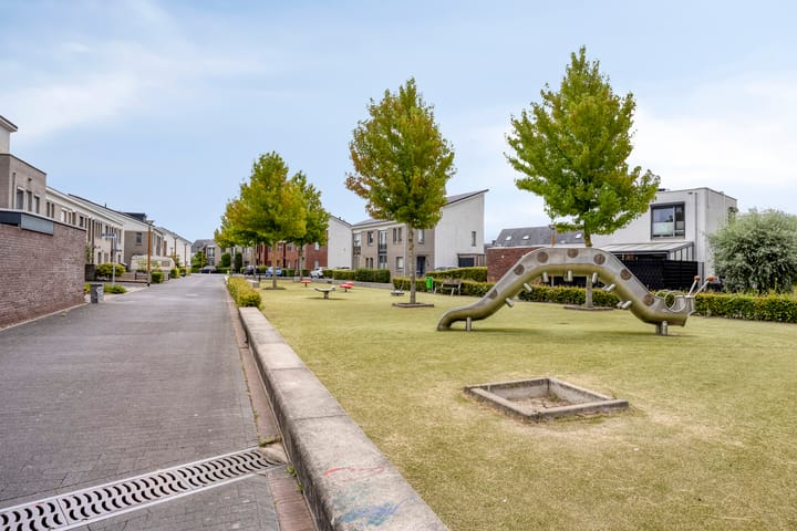 Foto 31 van Bilzekruid 9