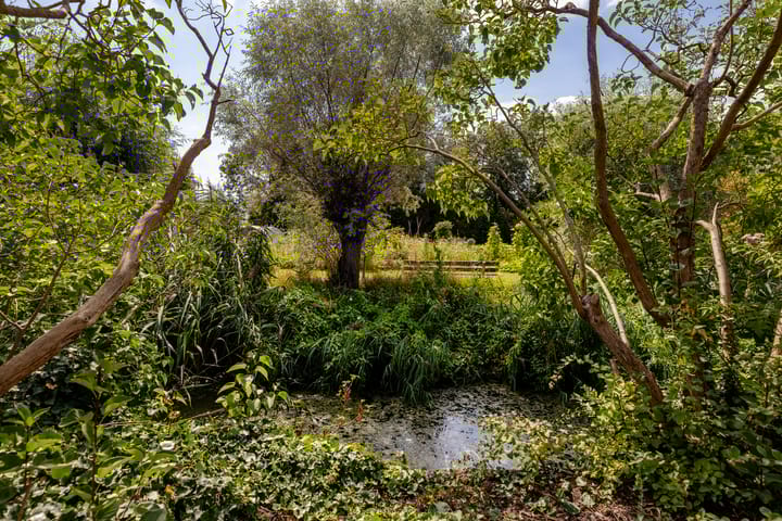 Foto 39 van Torenlaan 22