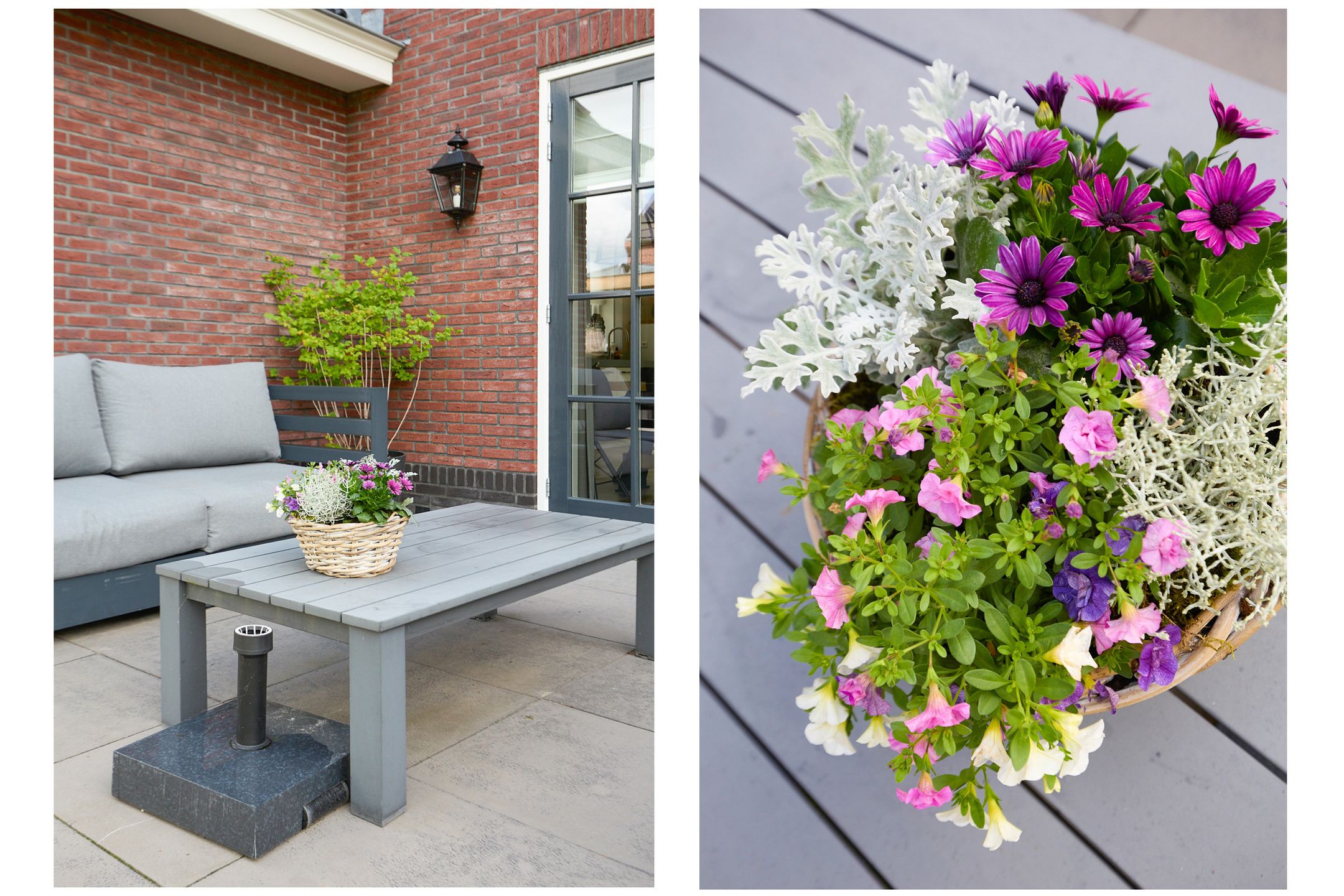 Foto 69 van Dorpsvaart 9