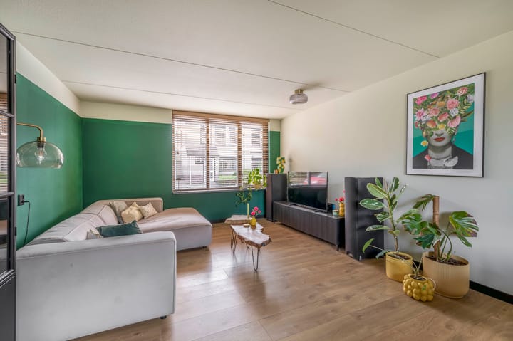 Foto 10 van Zwette 13