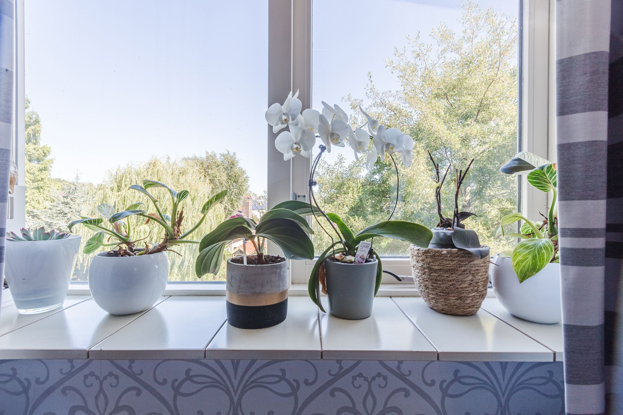 Foto 24 van Boslaan 9