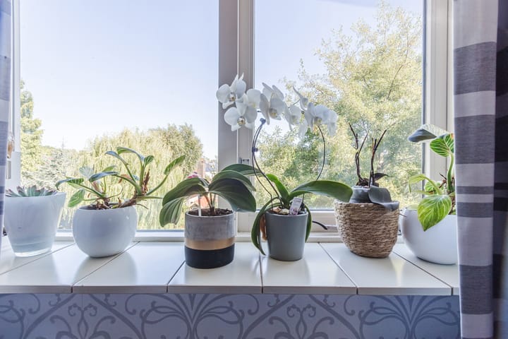 Photo 24 of Boslaan 9