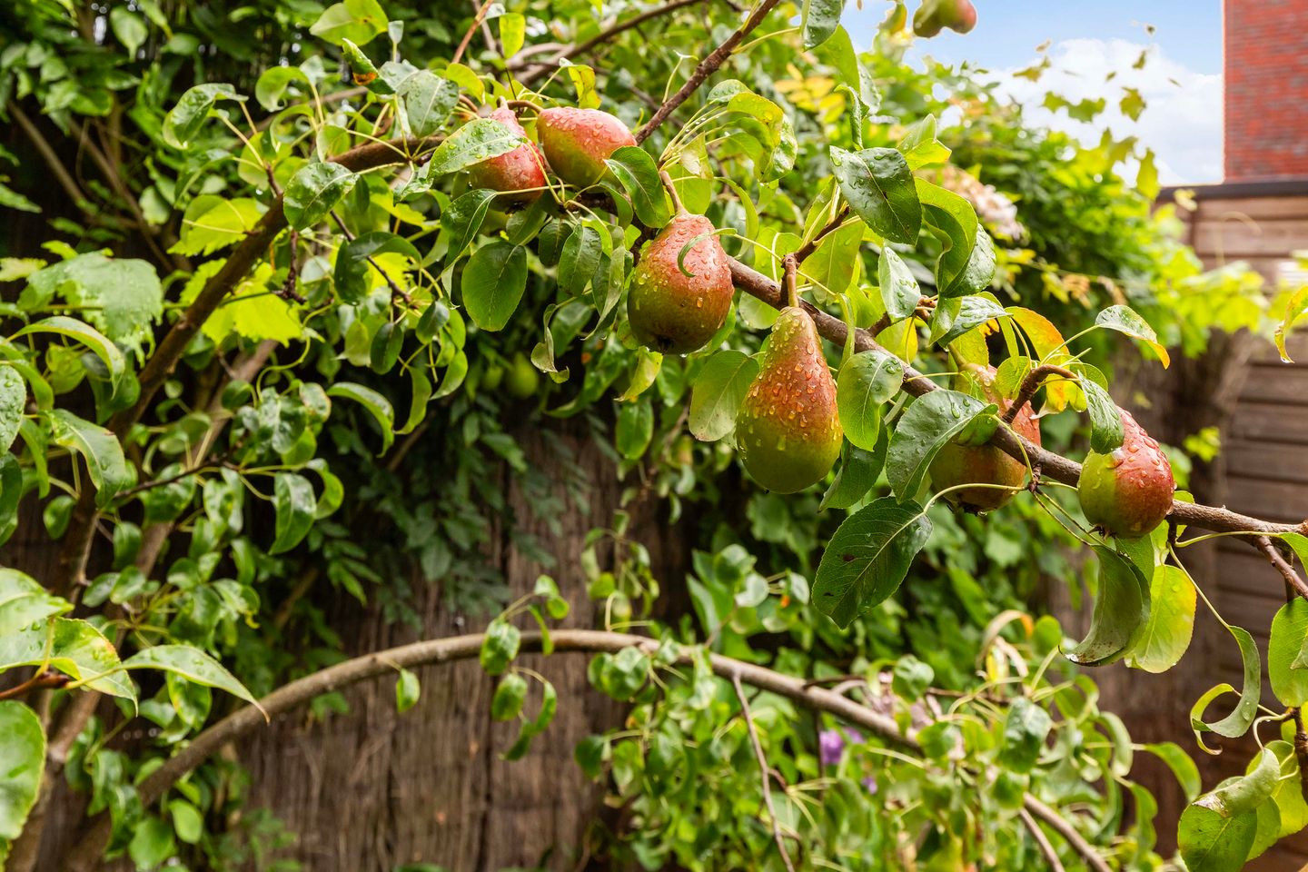 Foto 20 van Burgemeester Jhr. Quarles van Uffordlaan 475