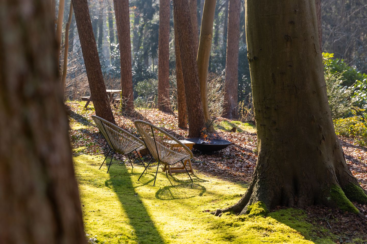 Foto 55 van Amelterweg 2