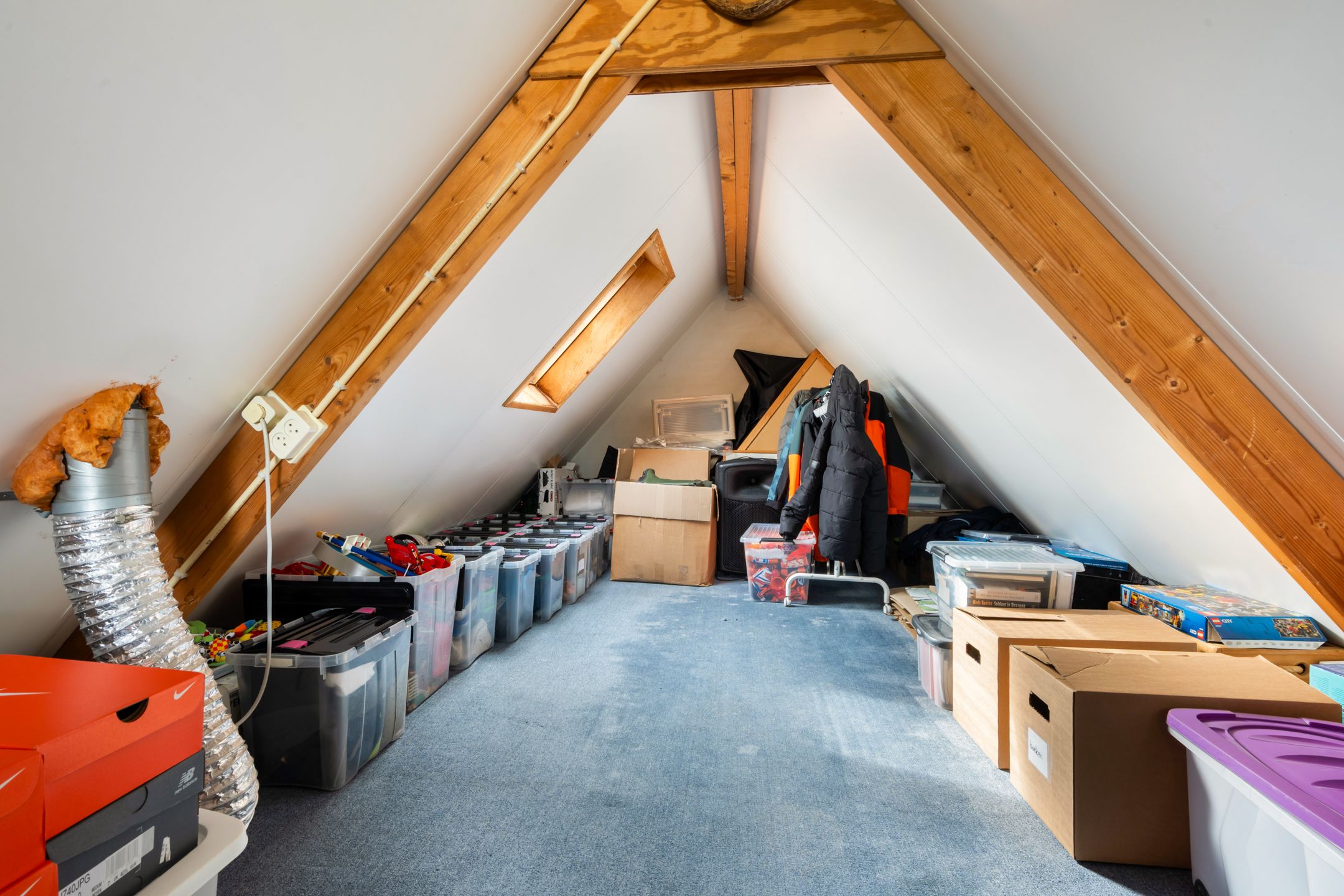 Foto 27 van Kieveen 12