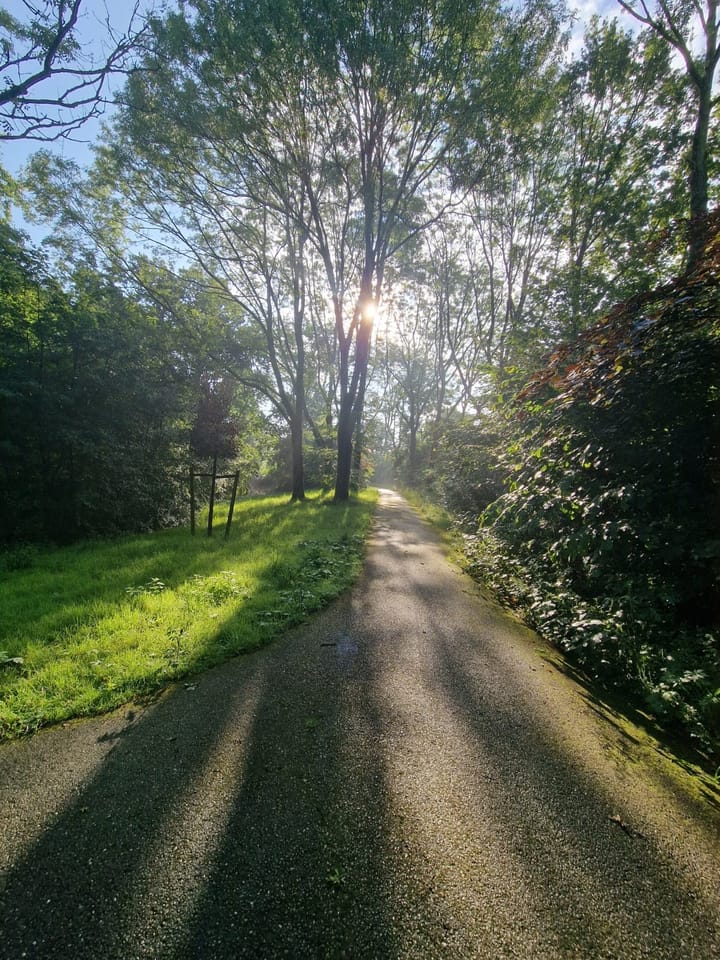 Foto 3 van Kievitstraat 28