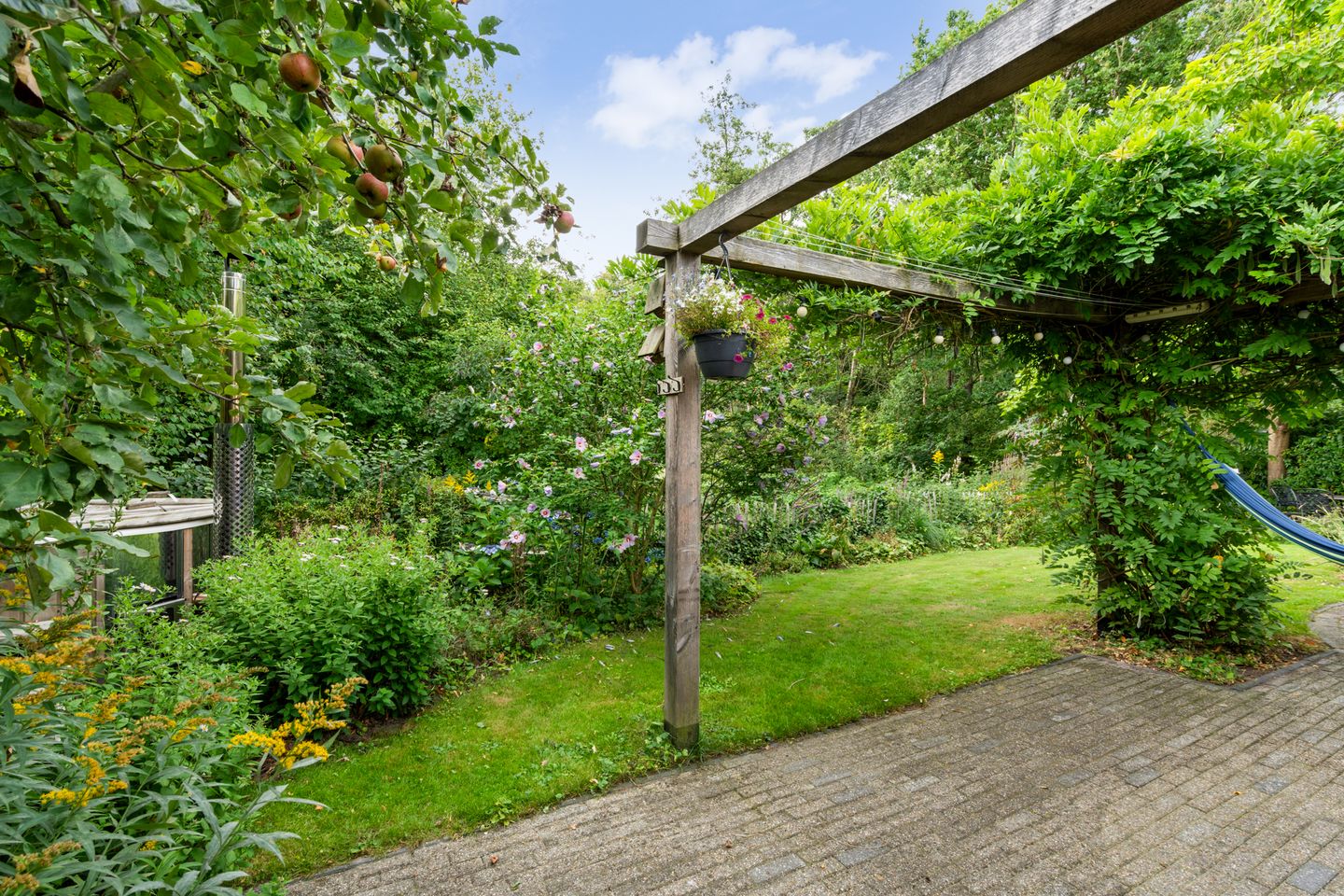 Foto 34 van Kieveen 12