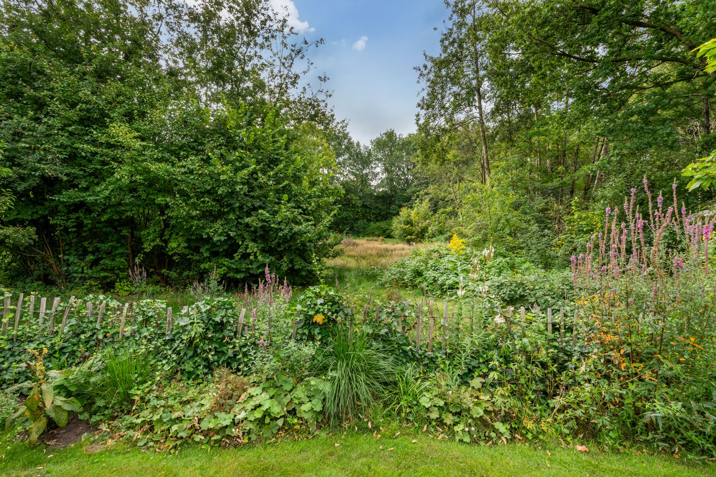 Foto 35 van Kieveen 12