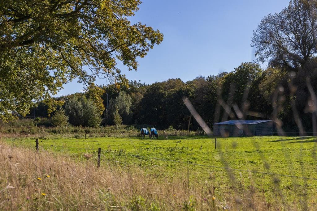 Foto 63 van A.J. van der Wielstraat 106