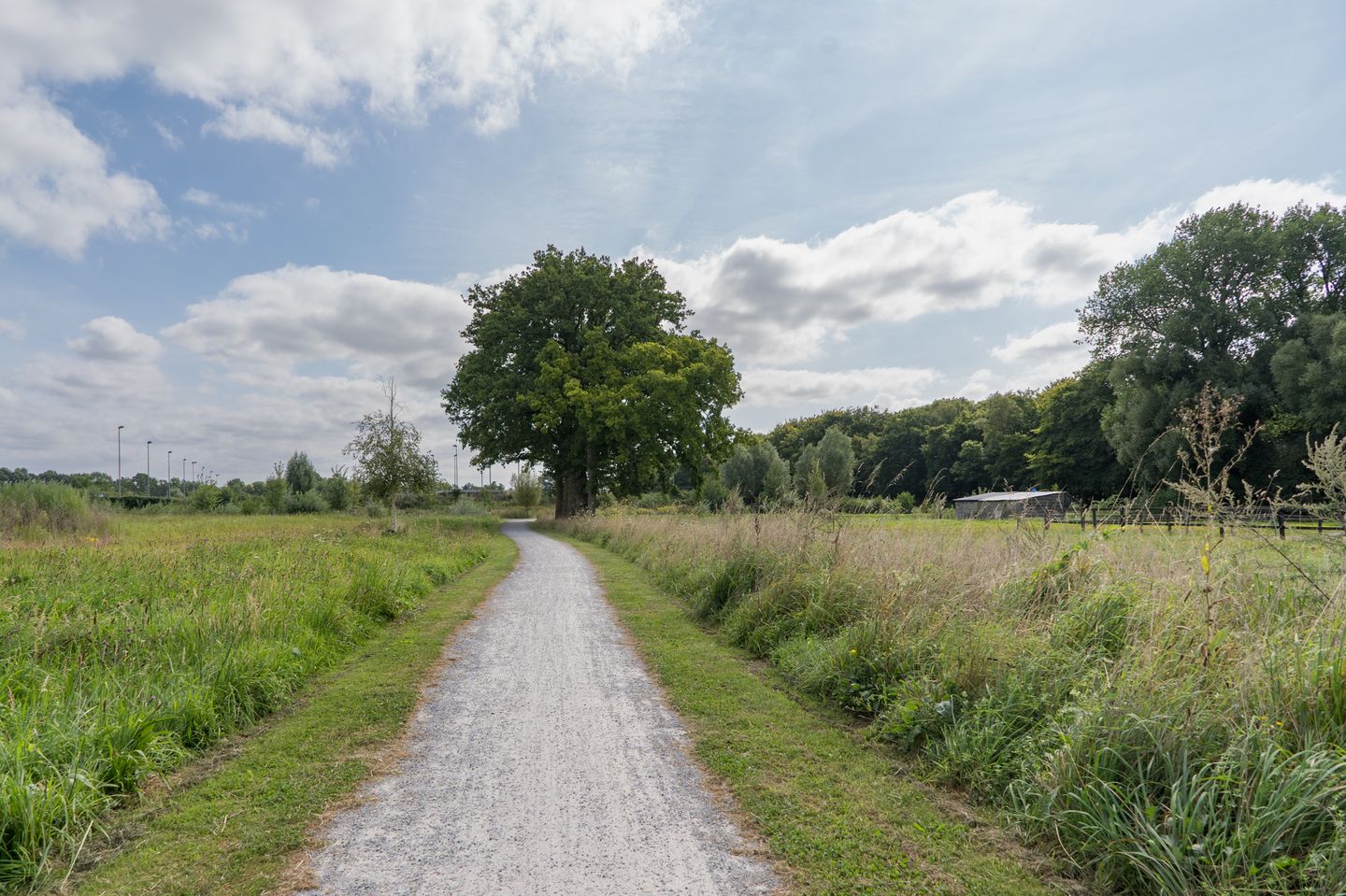 Foto 64 van A.J. van der Wielstraat 106