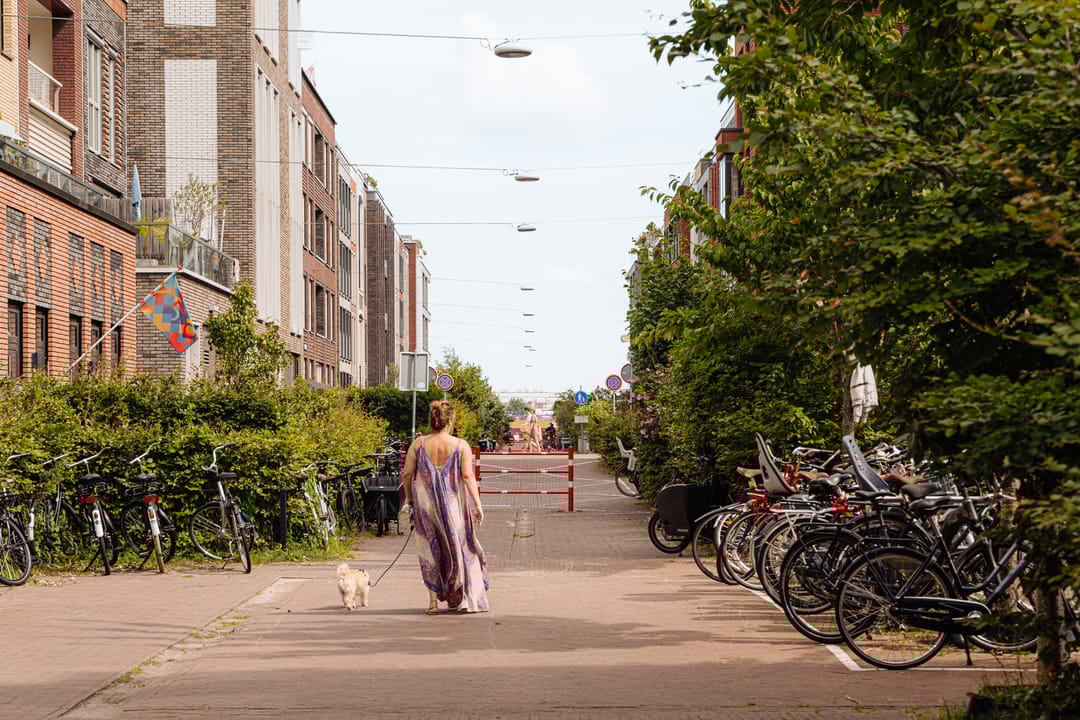 Foto 38 van Narva-eiland 85