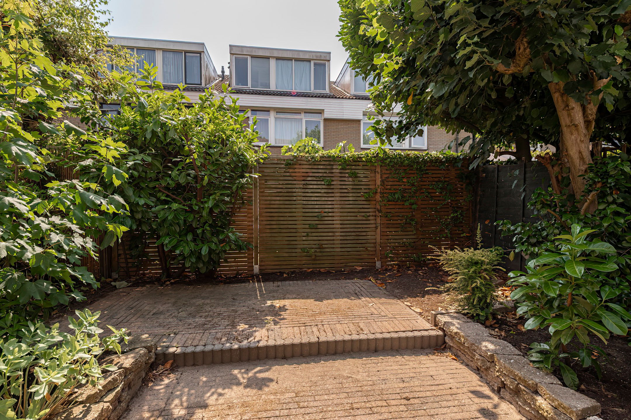 Photo 12 of Appelboom 10