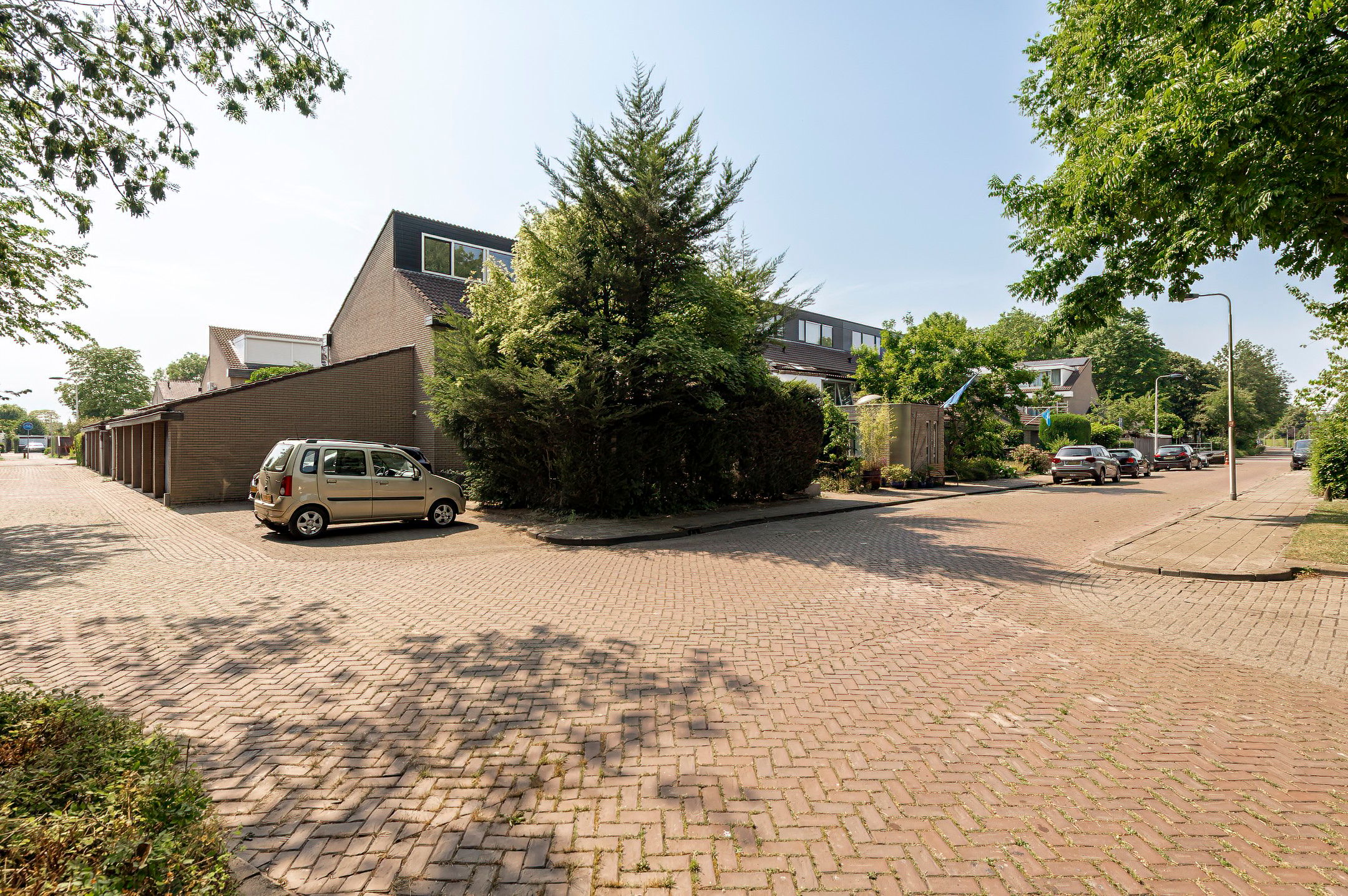 Photo 15 of Appelboom 10