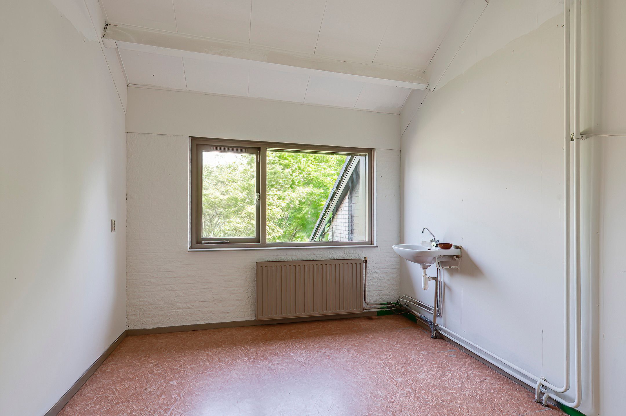 Photo 21 of Appelboom 10