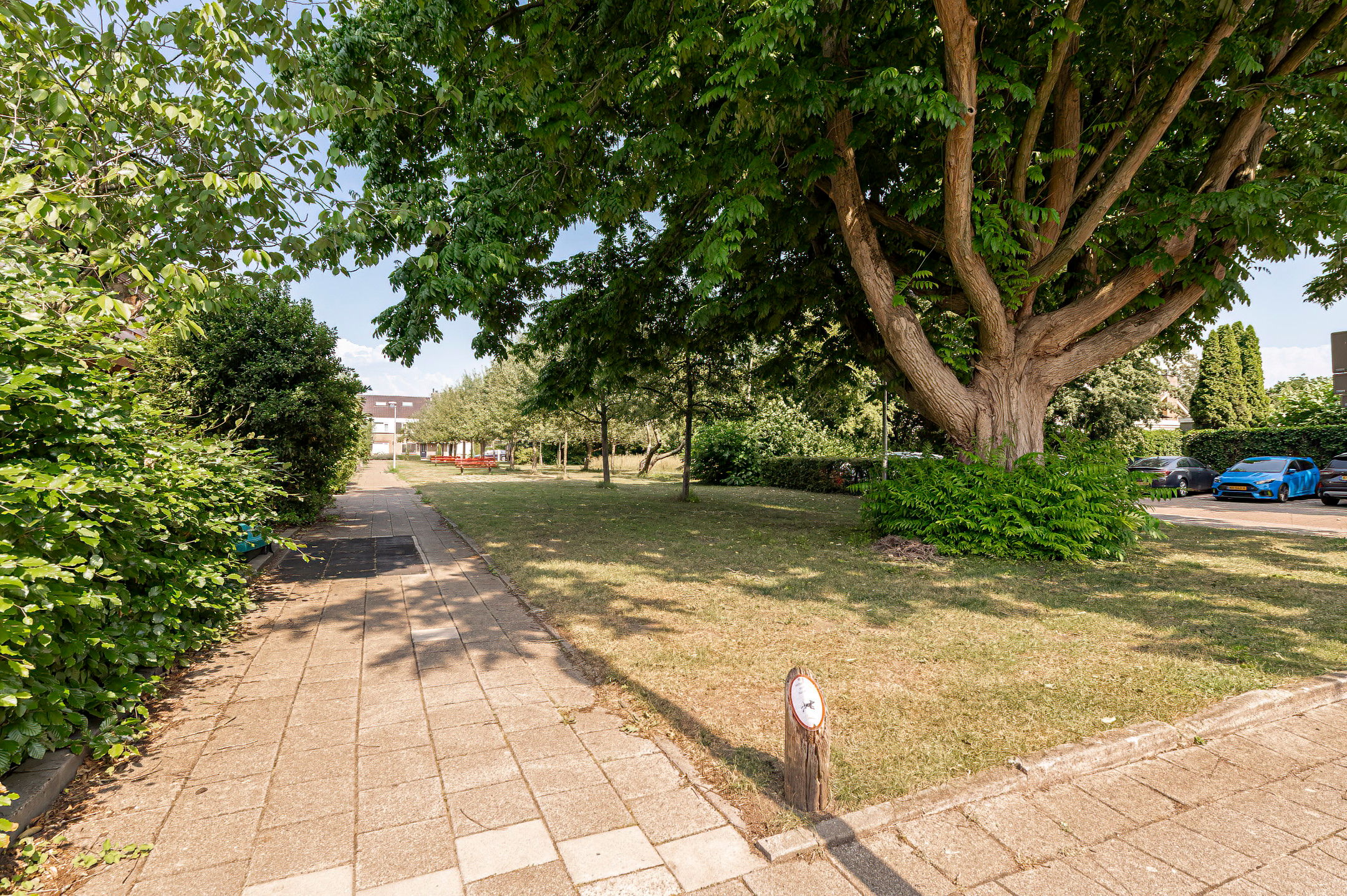 Photo 30 of Appelboom 10