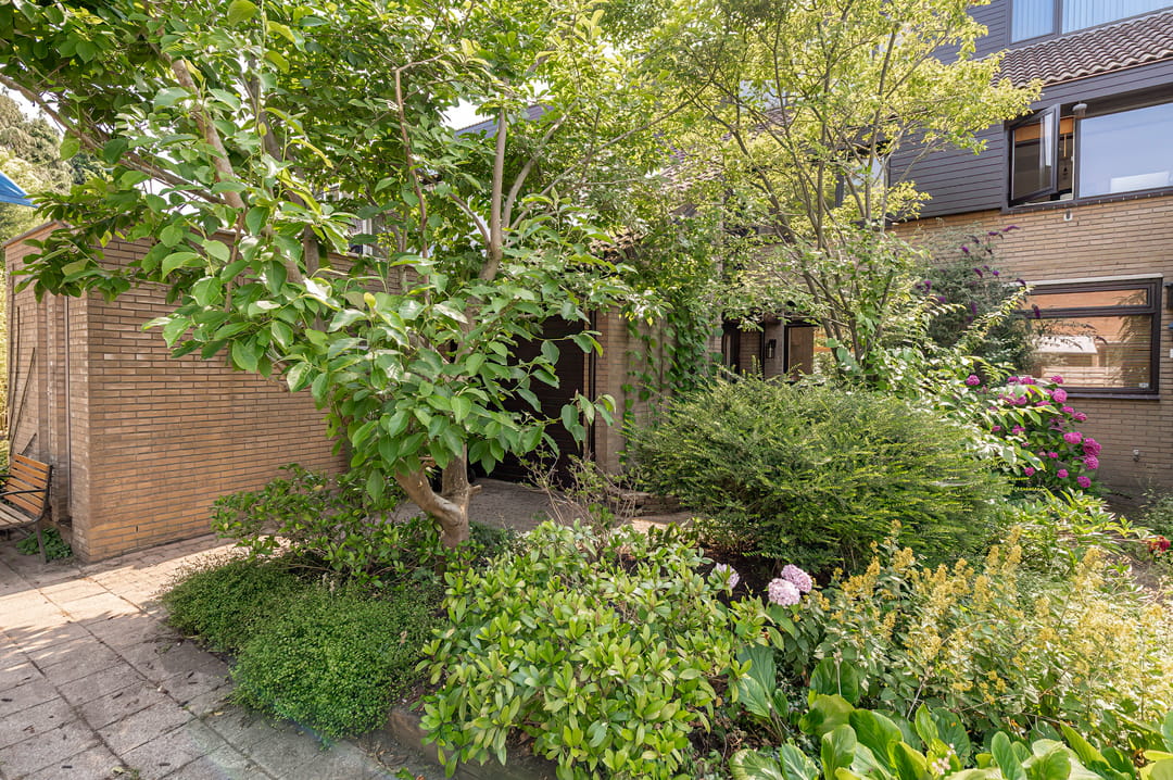 Photo 31 of Appelboom 10