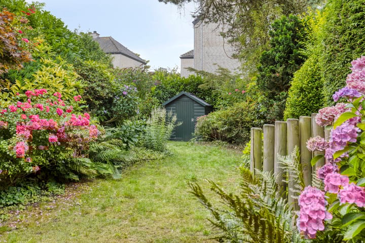 Foto 3 van Lemsterland 1