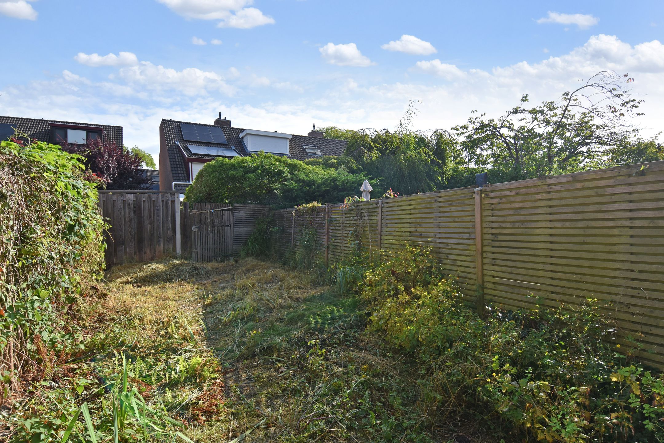 Foto 21 van Strindbergzijde 4