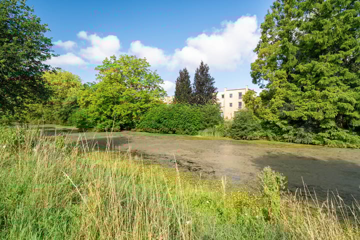 Foto 60 van Bachkade 18