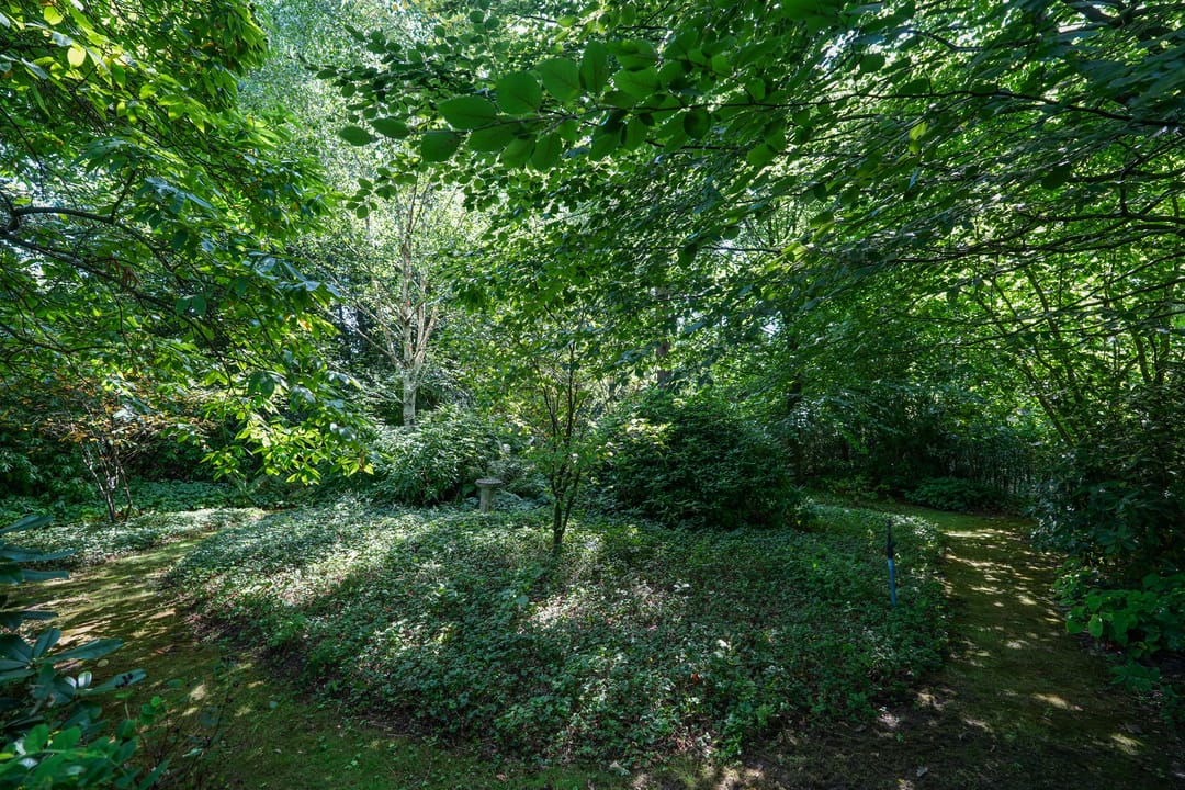 Photo 43 of Kwakkenbergweg 52