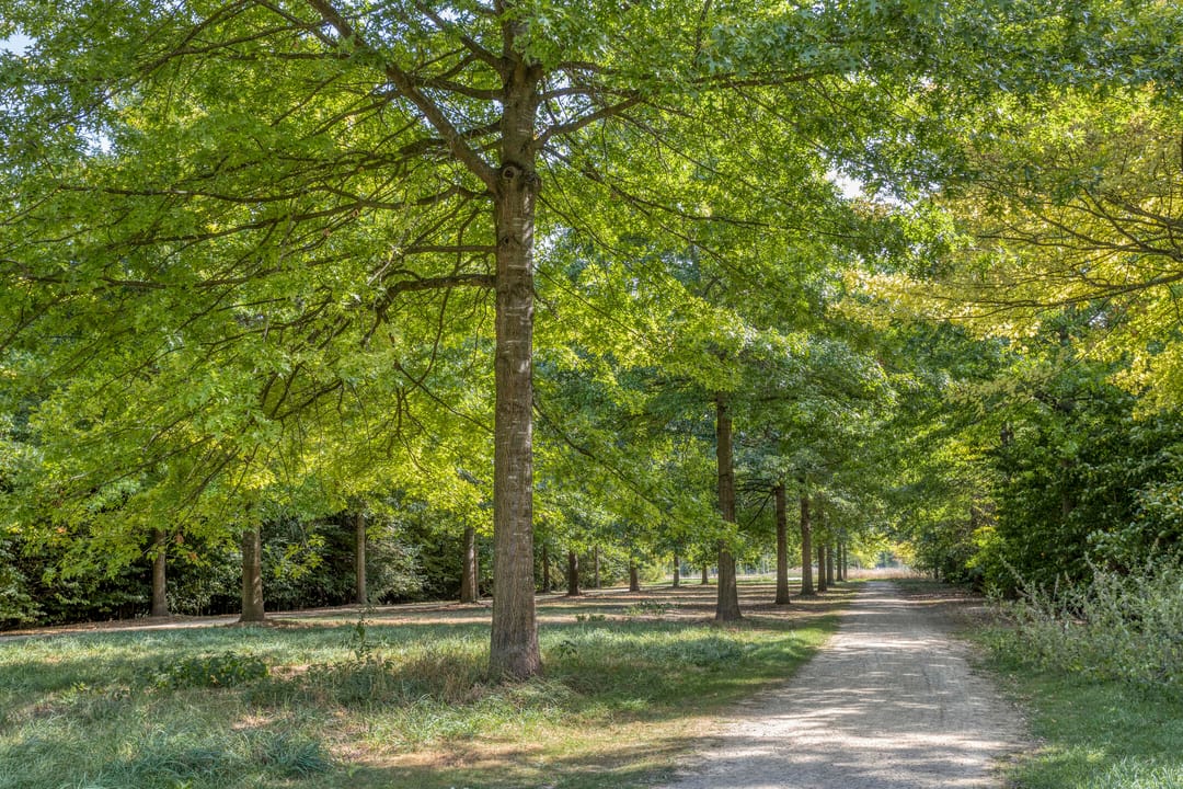 Foto 37 van Oeverhuyze 12