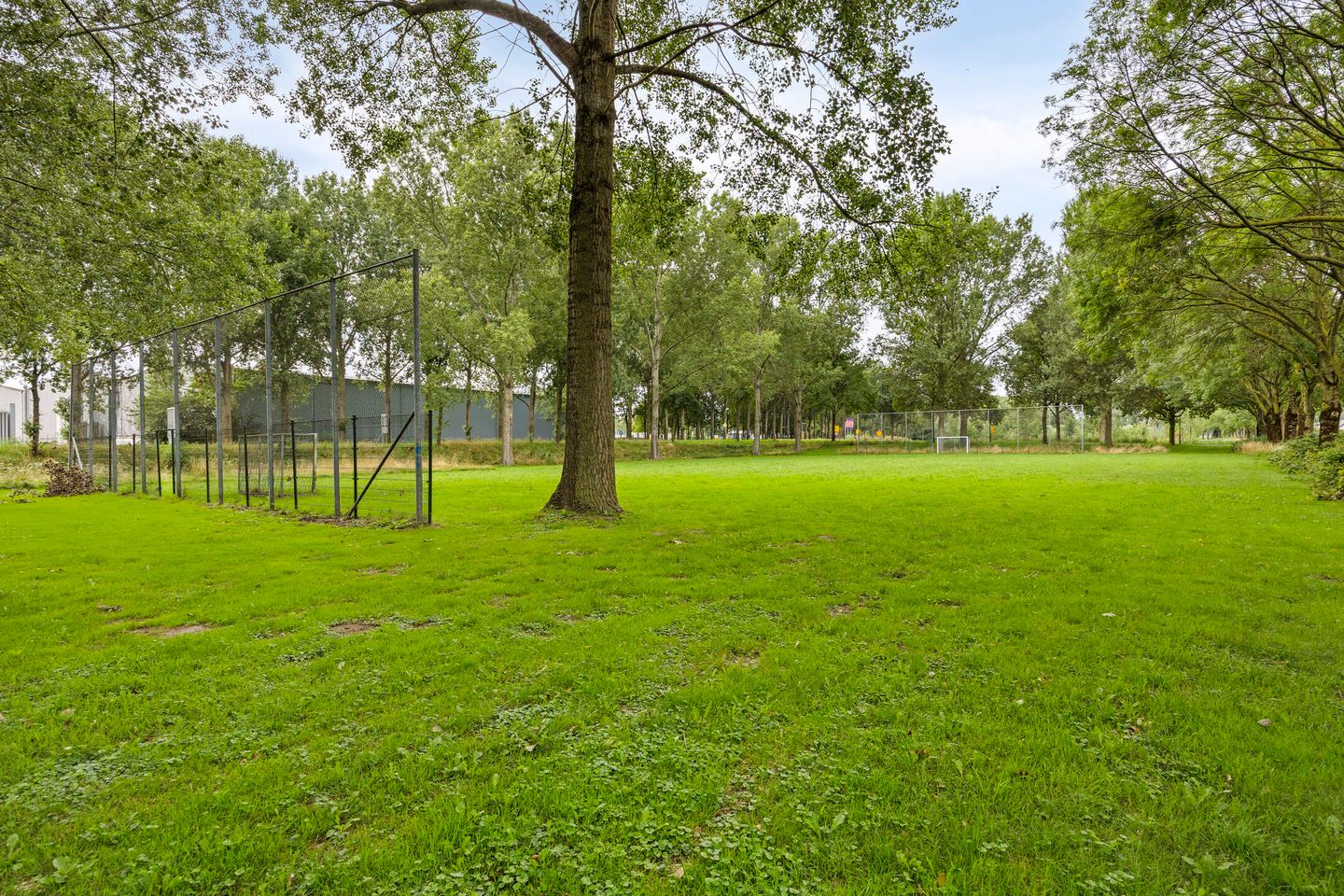 Foto 35 van Prinsendam 33